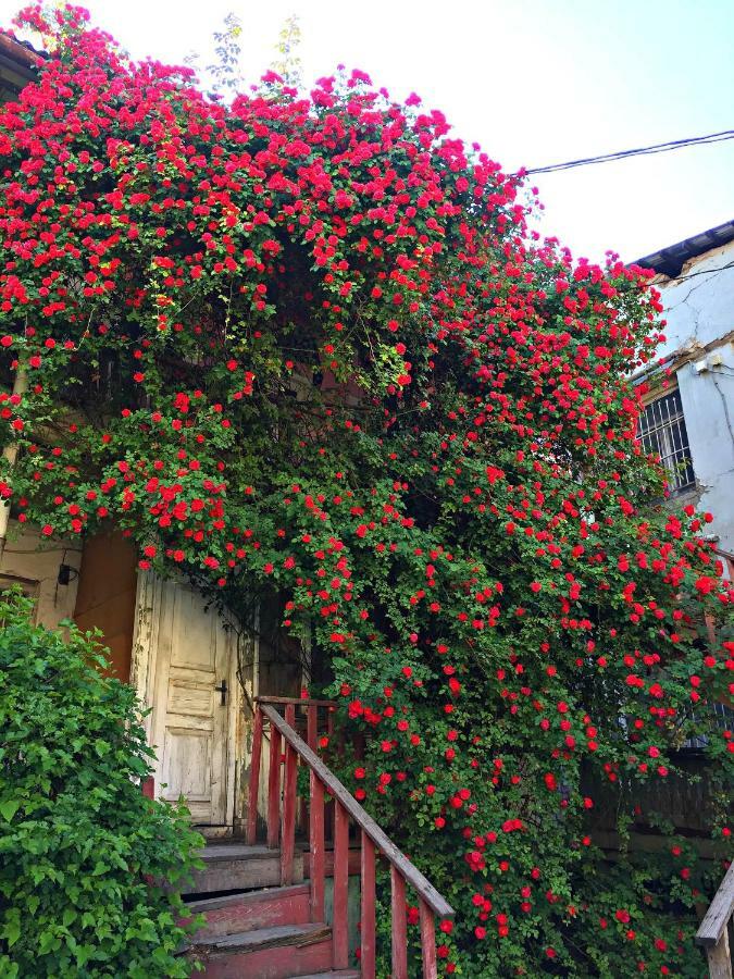 Apartment In Cozy Little Yard Τυφλίδα Εξωτερικό φωτογραφία